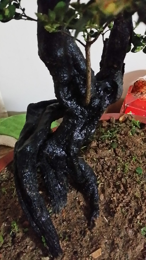 20140310_191959_.jpg