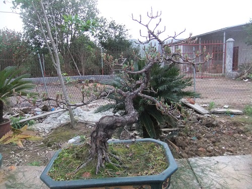 DSCF9428.JPG