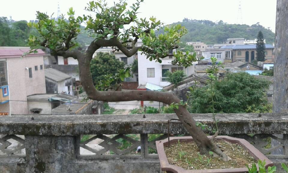 QQͼƬ20140422130001.jpg