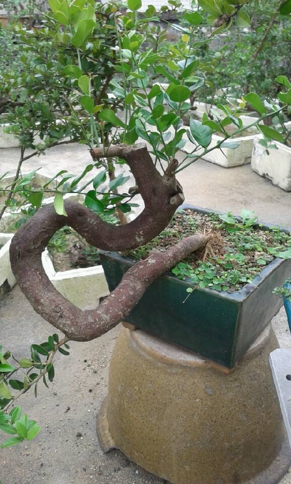 QQͼƬ20140422130010.jpg