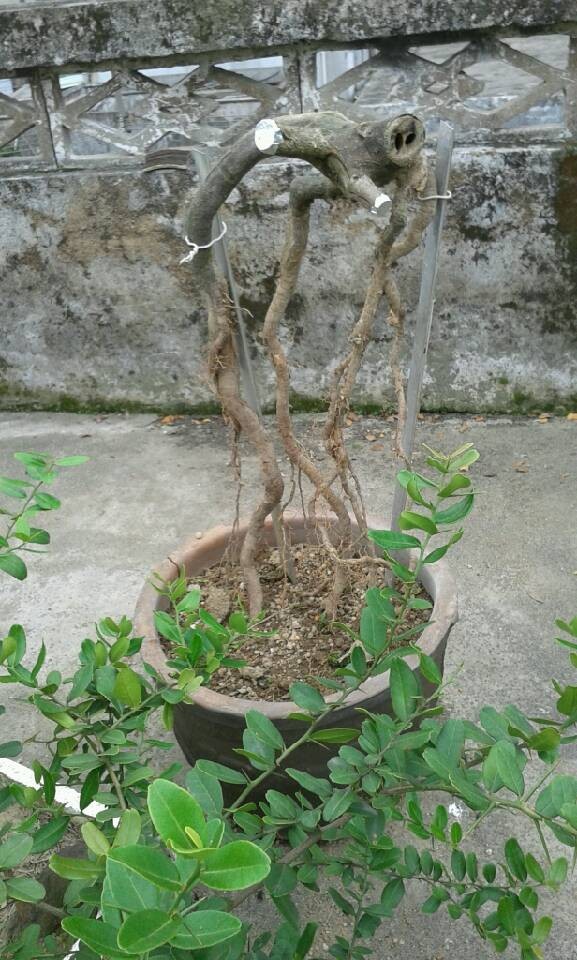 QQͼƬ20140422130017.jpg