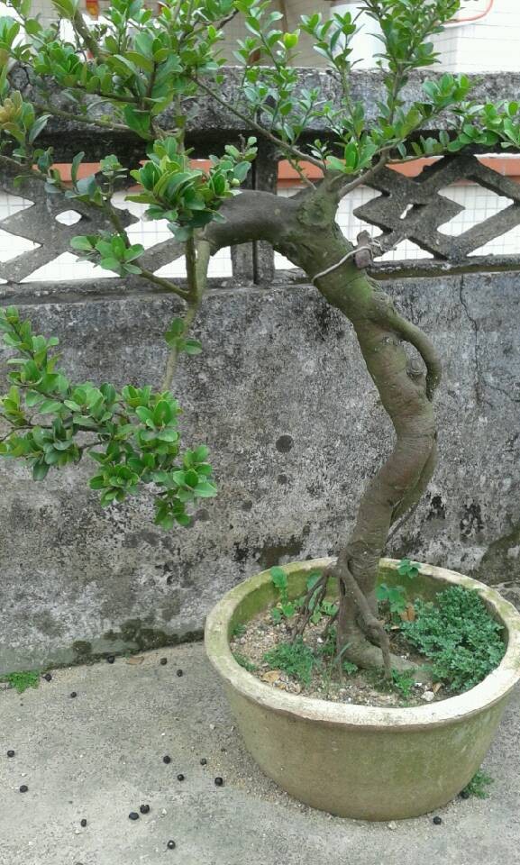 QQͼƬ20140422130021.jpg