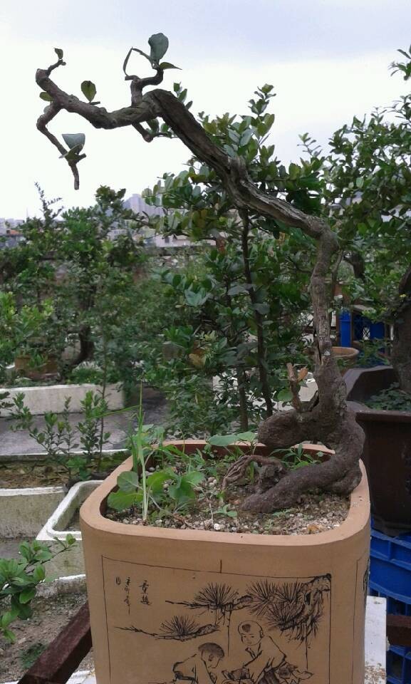 QQͼƬ20140422130029.jpg