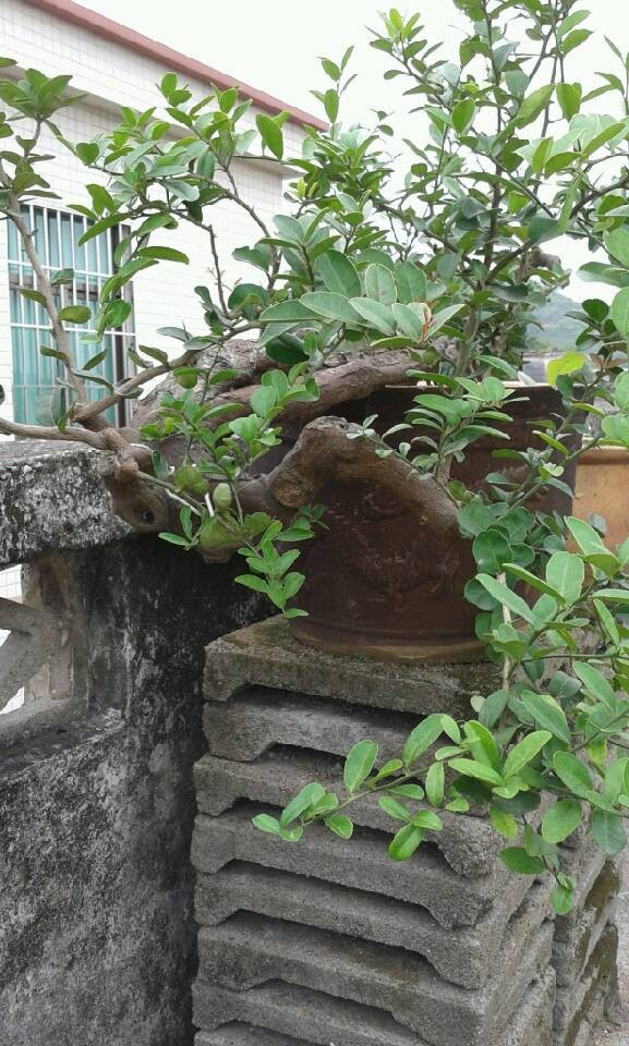 QQͼƬ20140422130032.jpg