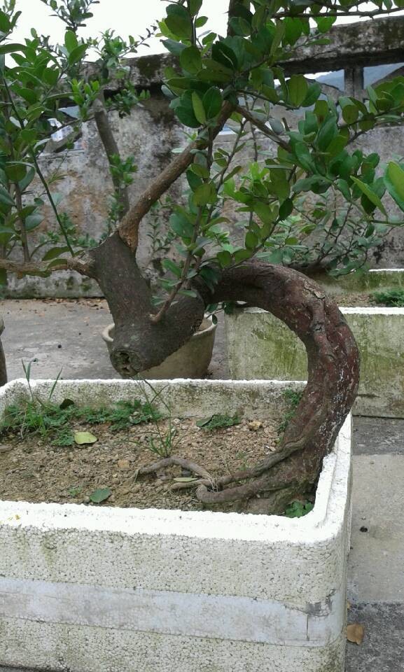 QQͼƬ20140422130039.jpg