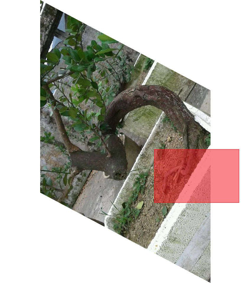 130841dwxu.jpg