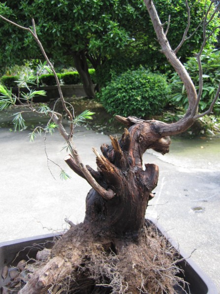 QQͼƬ20140422173627.jpg