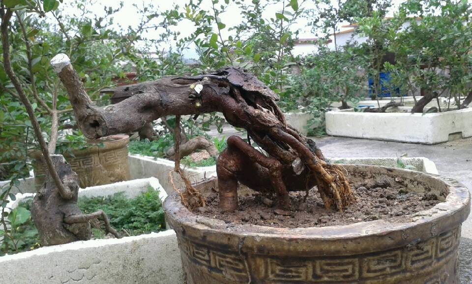 QQͼƬ20140422174818.jpg