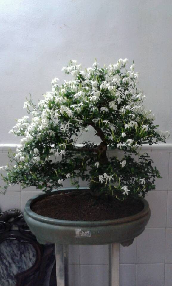 QQͼƬ20140422174821.jpg