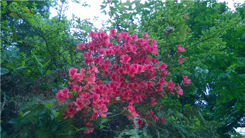 WP_20140422_17_14_34_Pro_1.jpg
