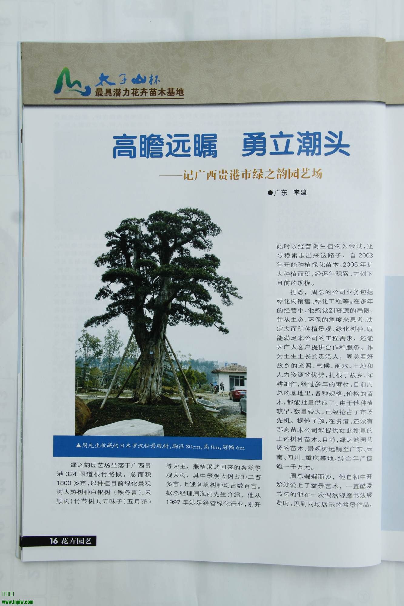 _MG_1504.jpg