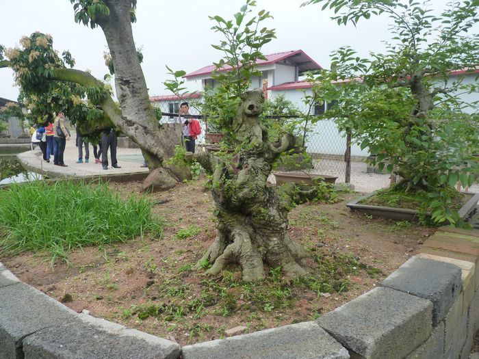 P1050062.JPG