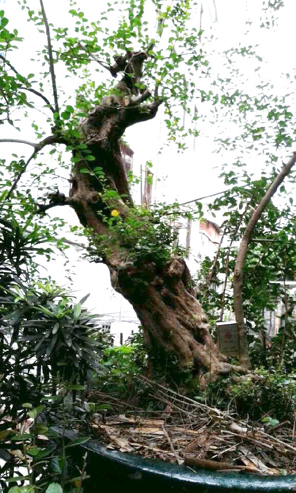 QQͼƬ20140422174828.jpg