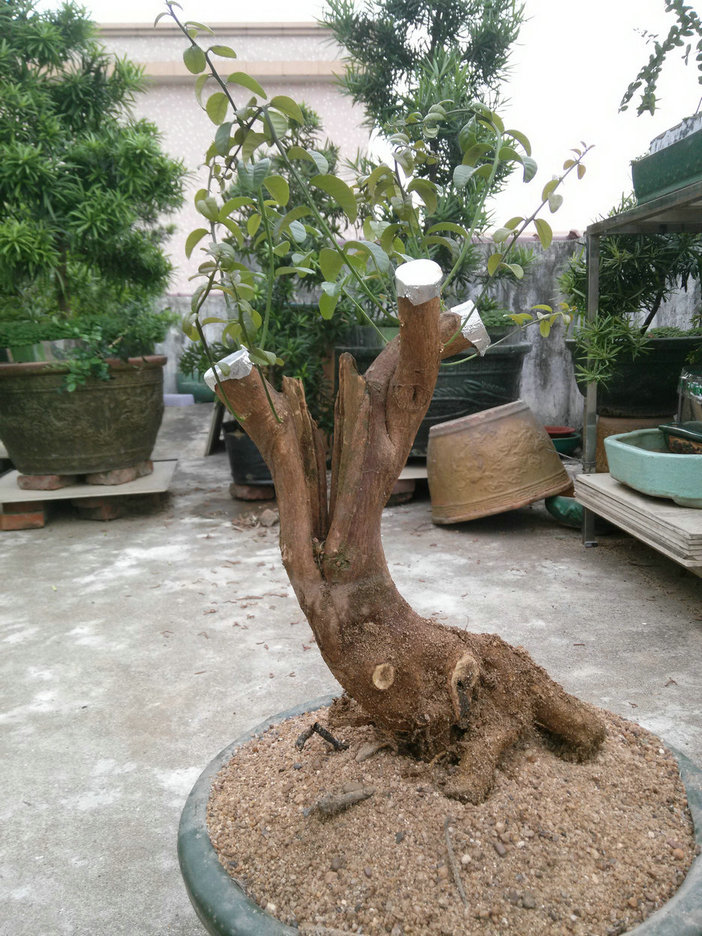 IMG20140415175927.jpg