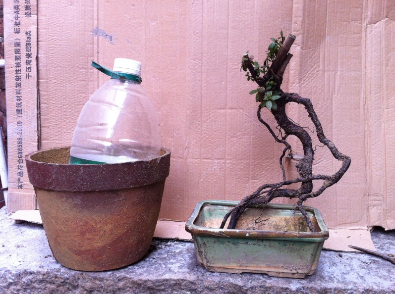 QQͼƬ20140424144545.jpg