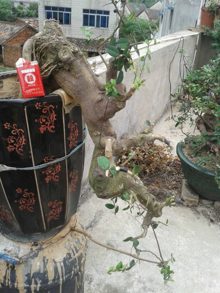 QQͼƬ20140424163853_ת.jpg
