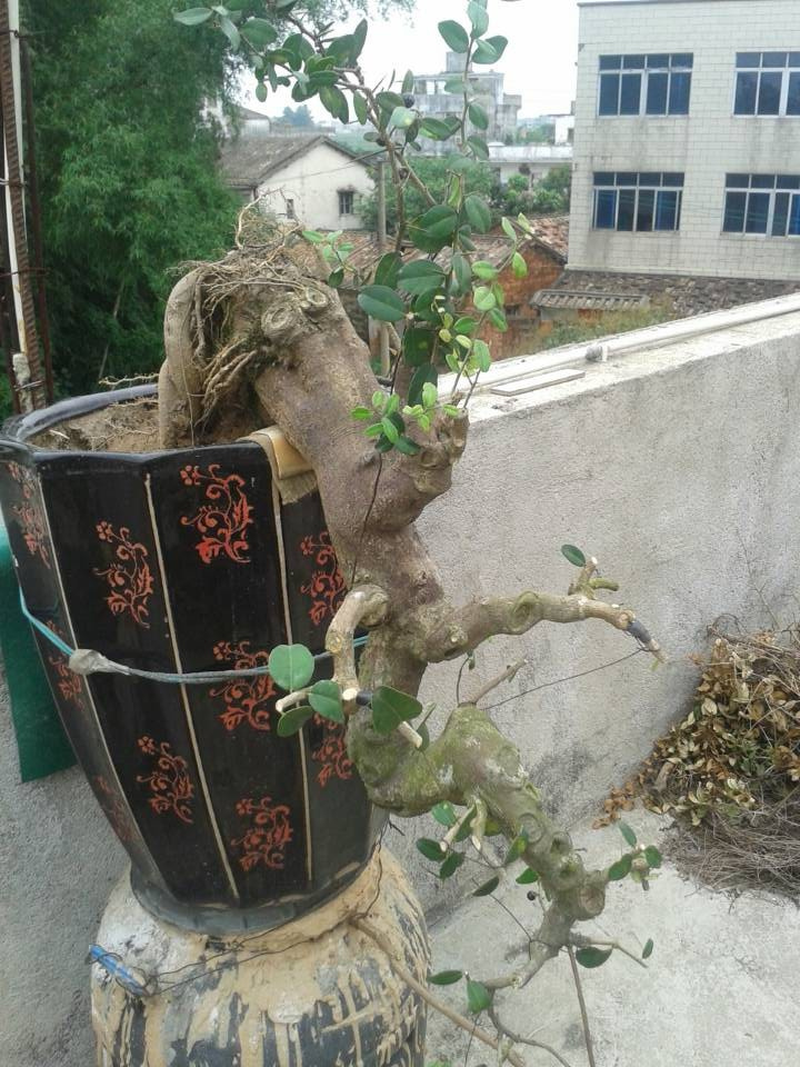 QQͼƬ20140424163911.jpg
