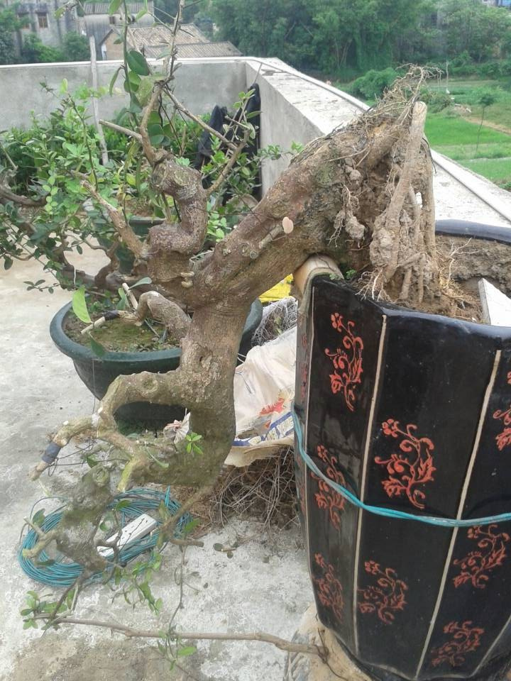 QQͼƬ20140424163923.jpg