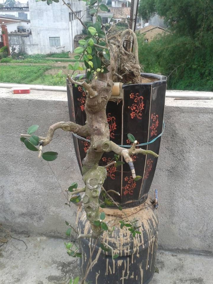 QQͼƬ20140424163955.jpg