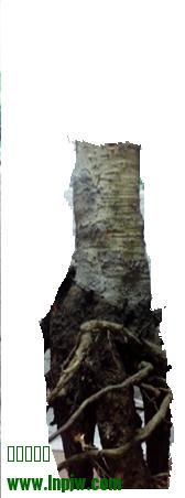 01.jpg