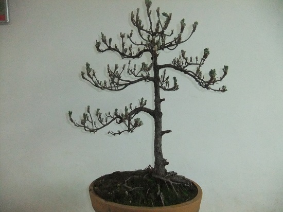 DSCF9484.JPG