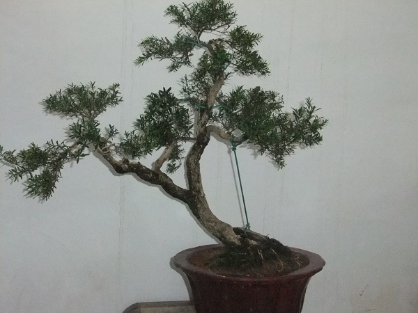 DSCF8344.JPG