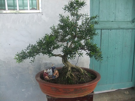 DSCF7620.JPG
