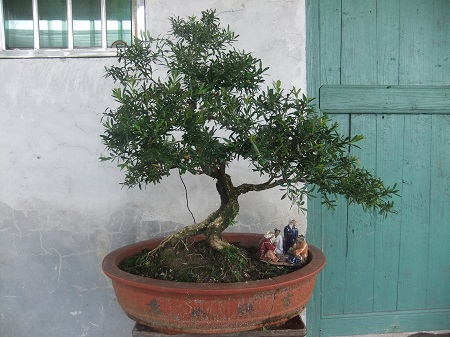 DSCF7623.JPG