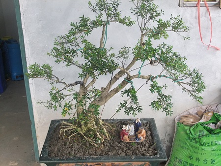 DSCF7605.JPG
