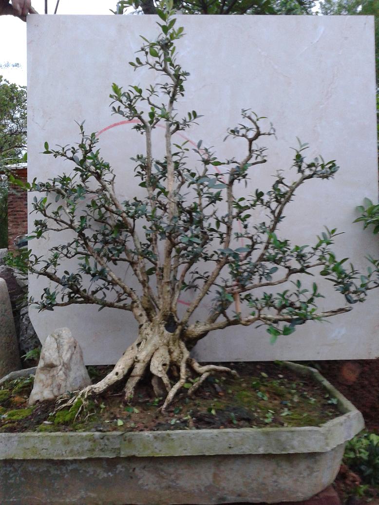 20140425_184111.jpg