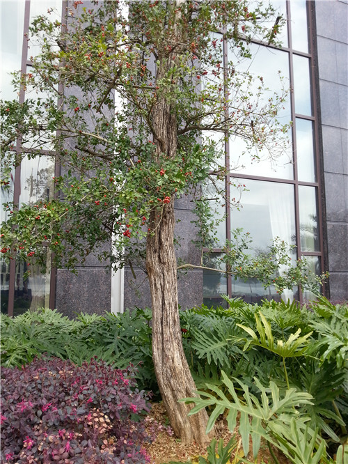 20140325_125147.jpg