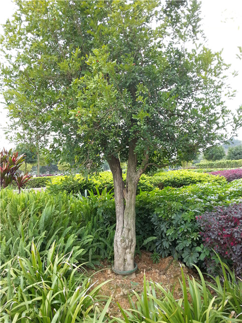 20140325_125329.jpg