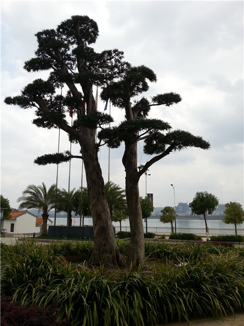 20140325_125403.jpg