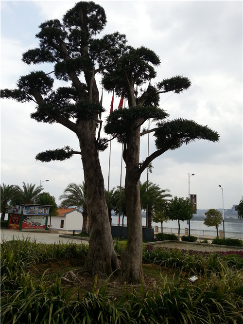 20140325_125415.jpg