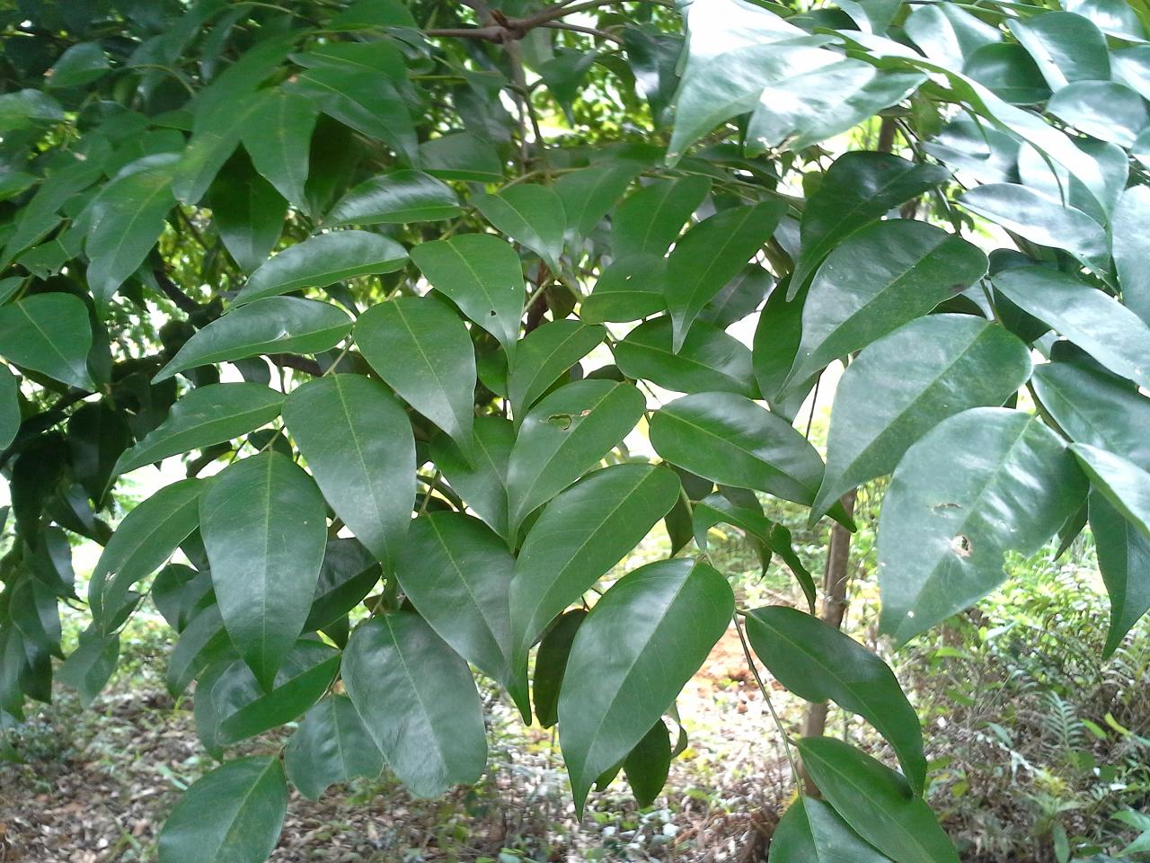 20130421_134048.jpg