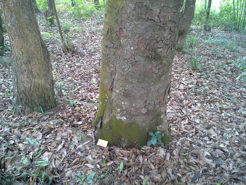 20130421_134113.jpg