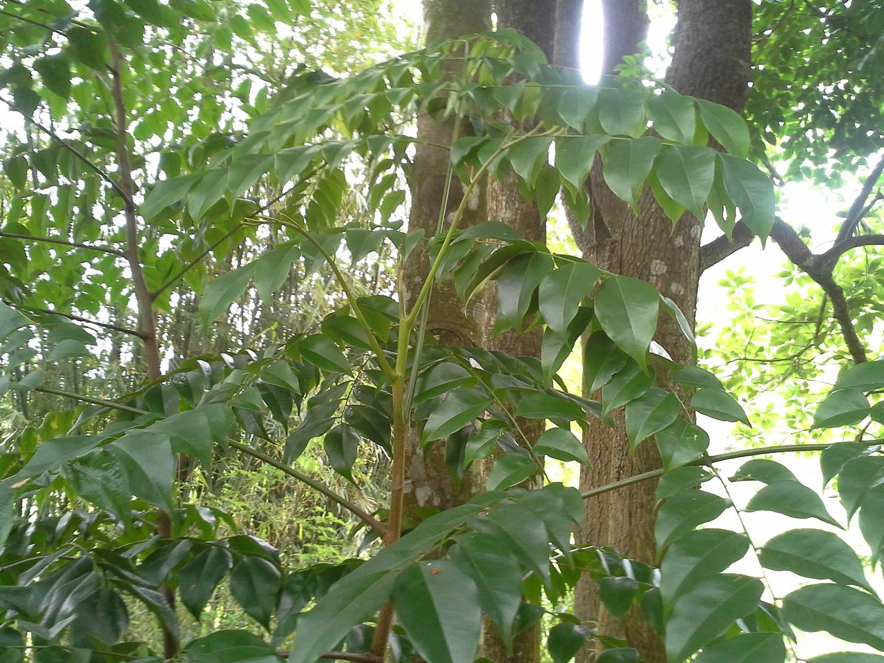 20130421_134139.jpg