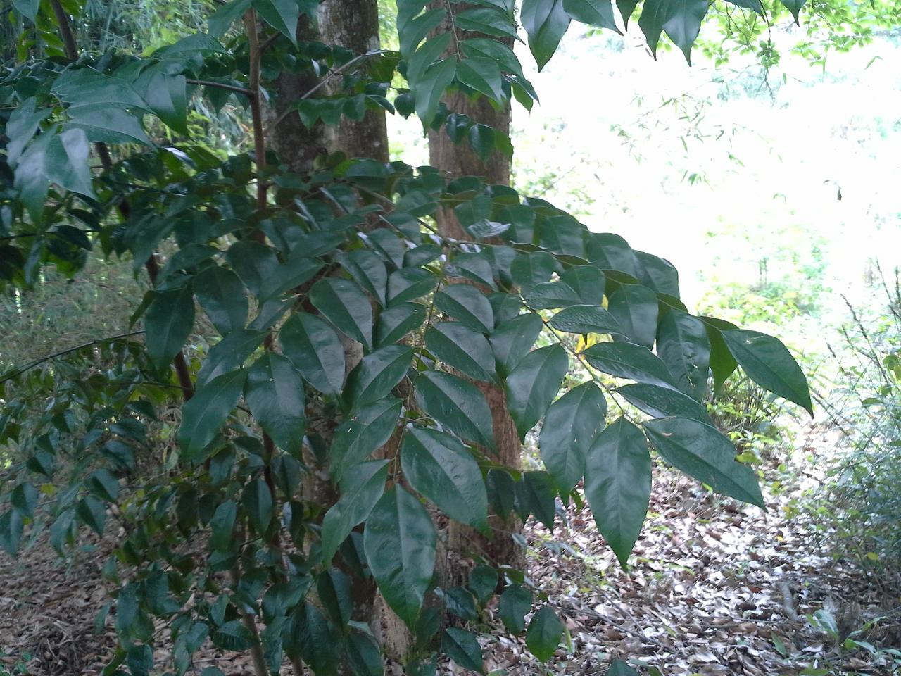 20130421_134134.jpg