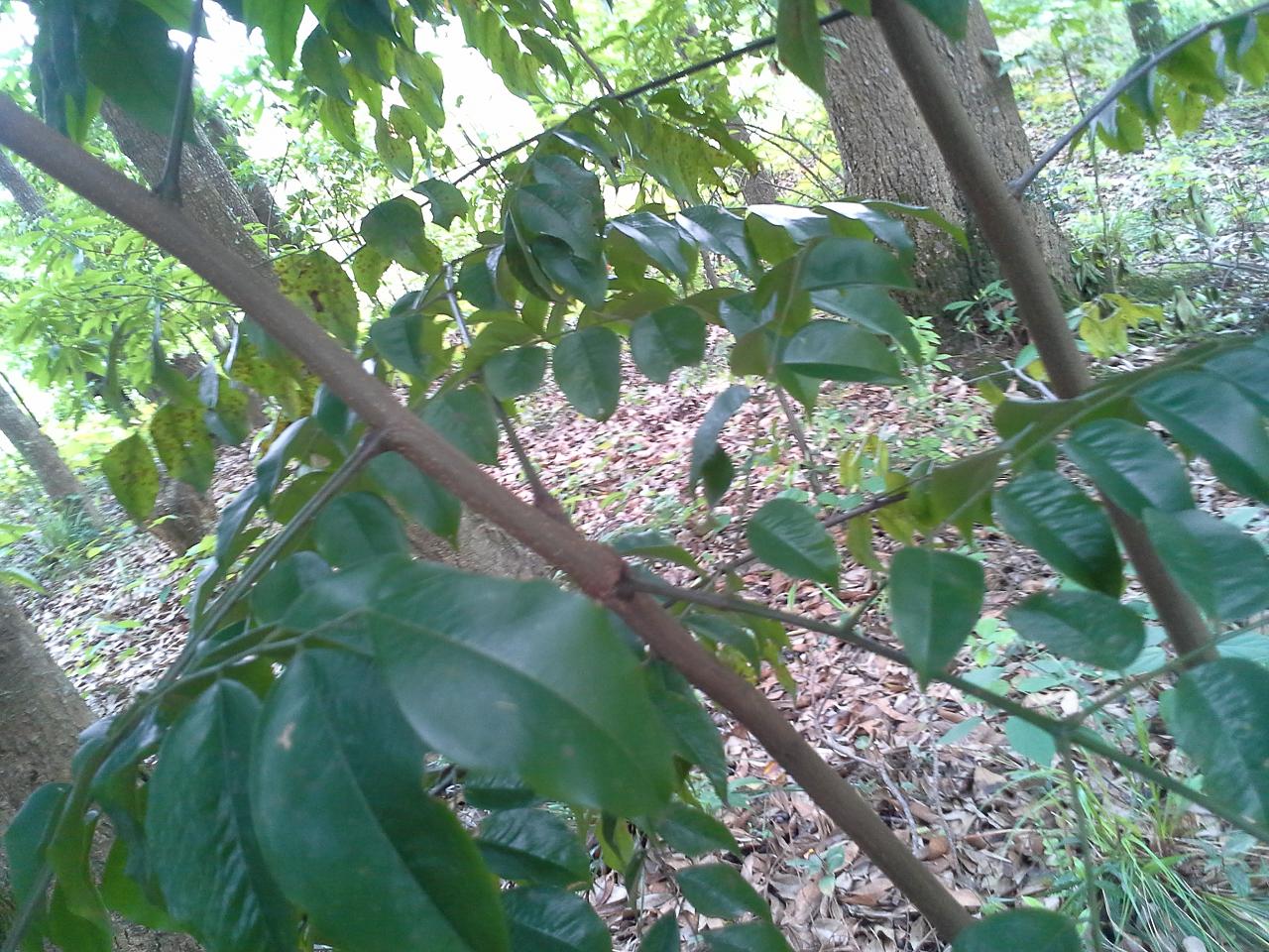 20130421_134224.jpg