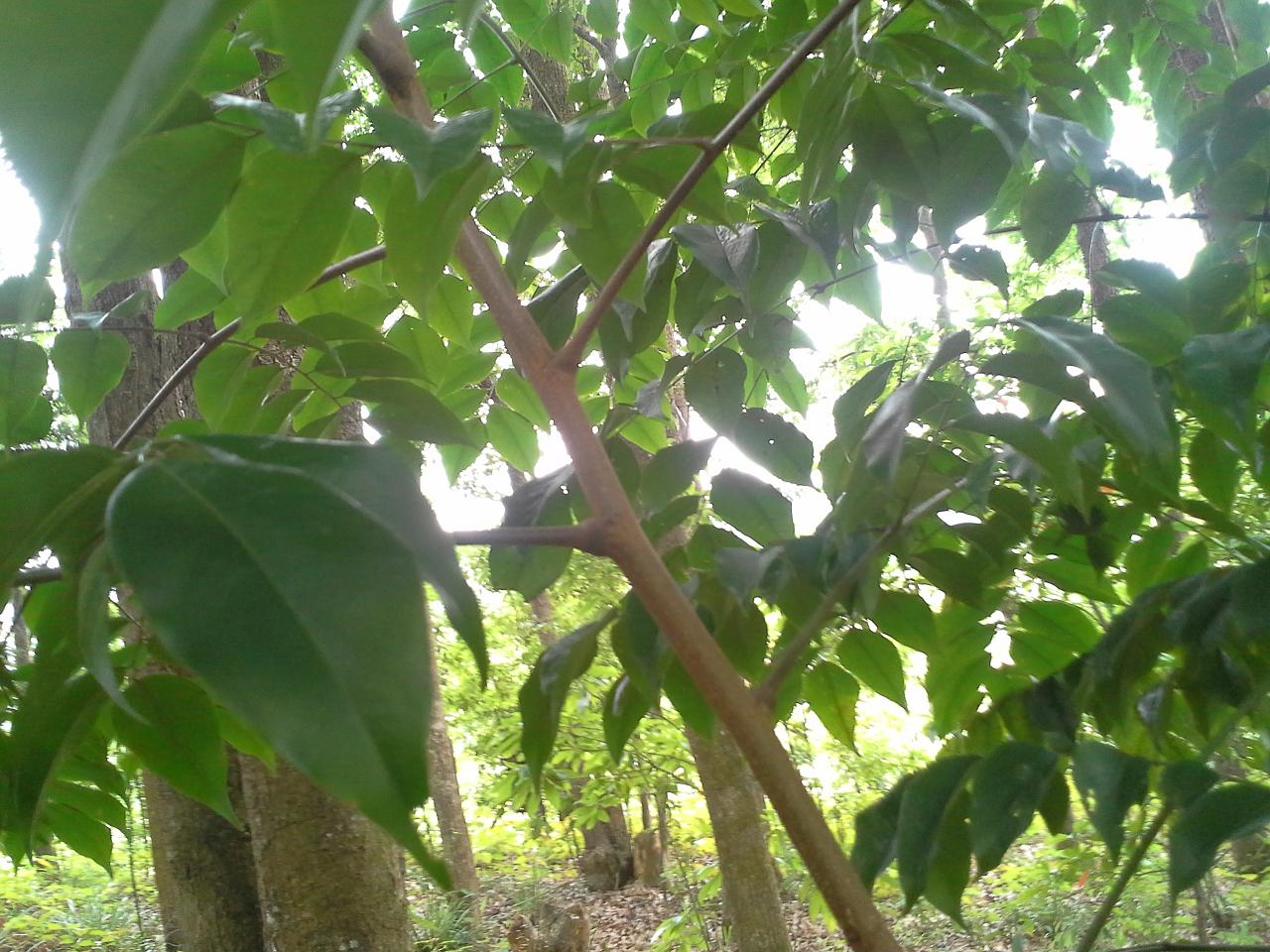 20130421_134217.jpg