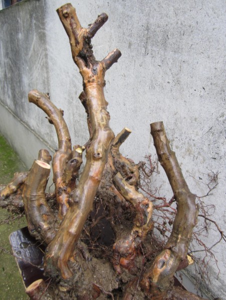 QQͼƬ20140426161457.jpg