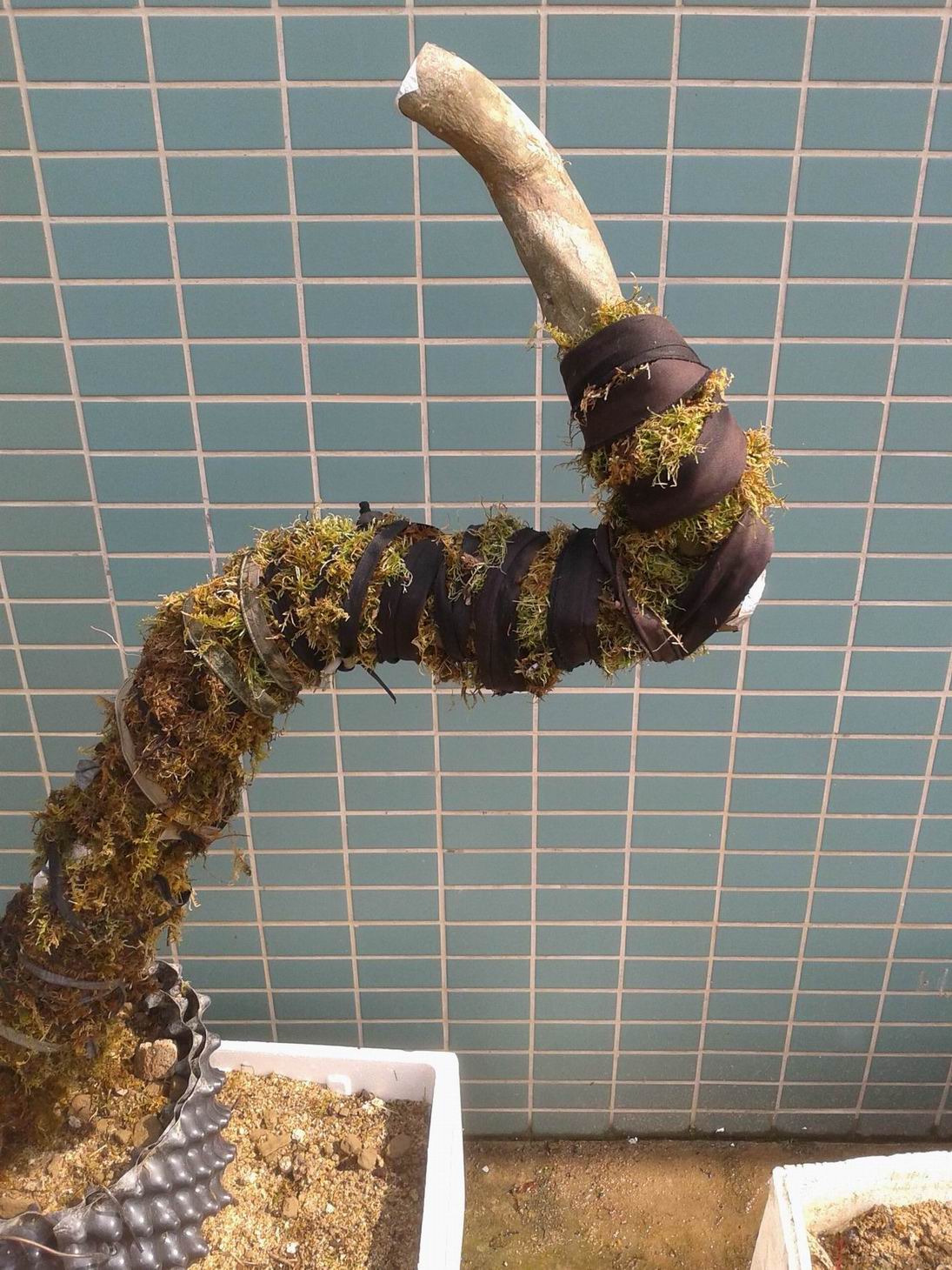 20140427_092100.jpg