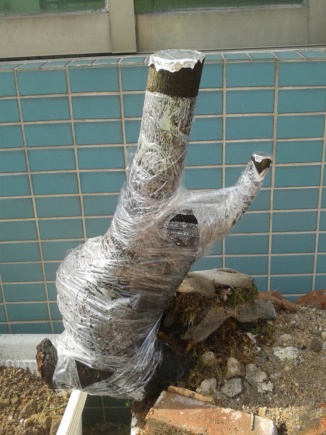 20140427_092121.jpg
