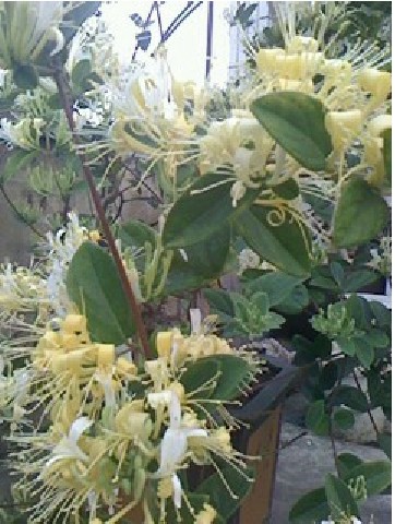 QQͼƬ20140427223341.jpg