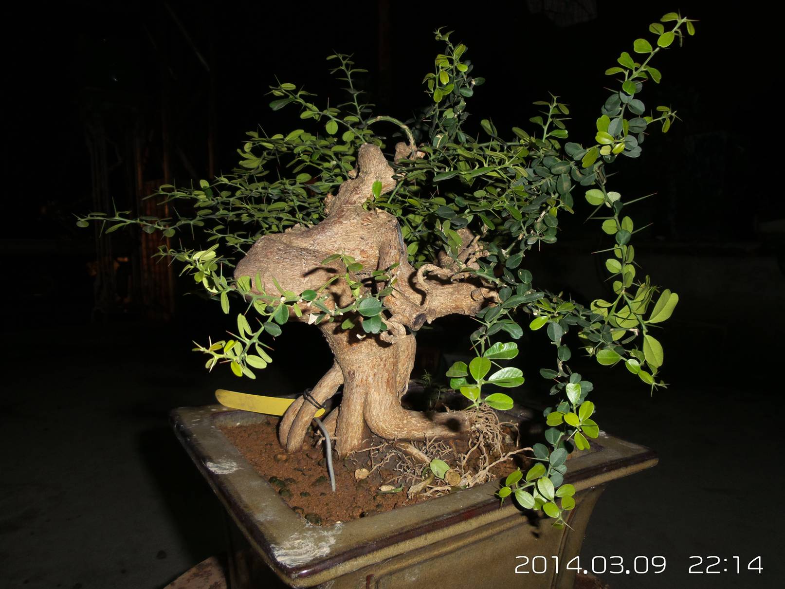 20140309_221441.jpg