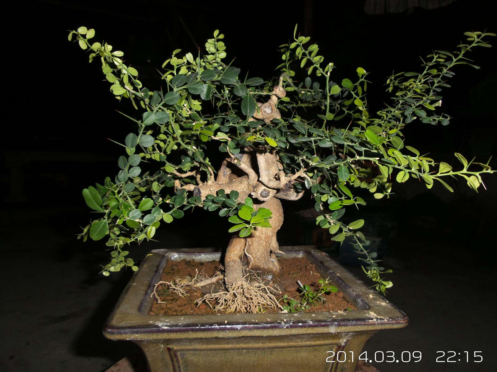 20140309_221551.jpg