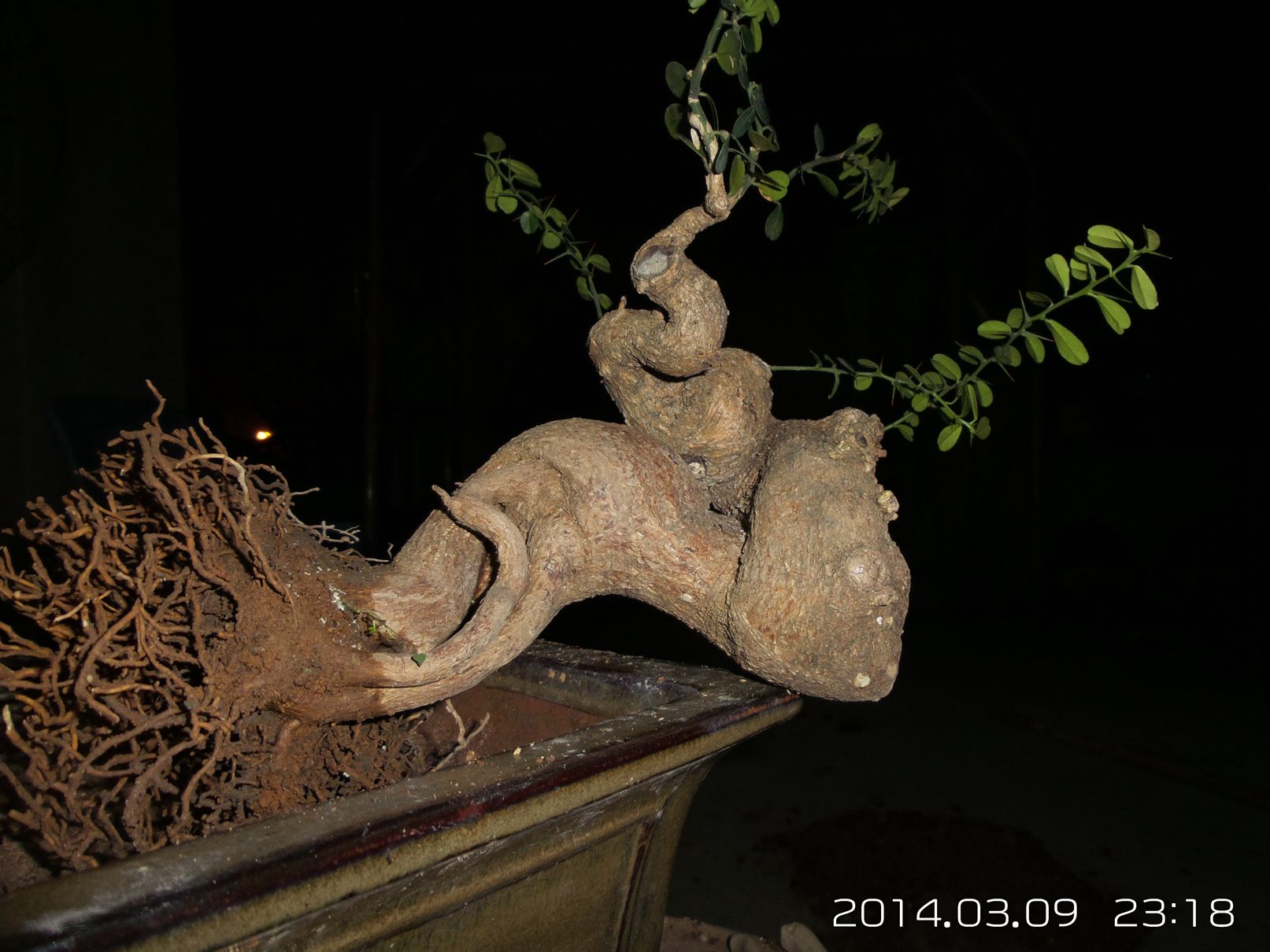 20140309_231824.jpg