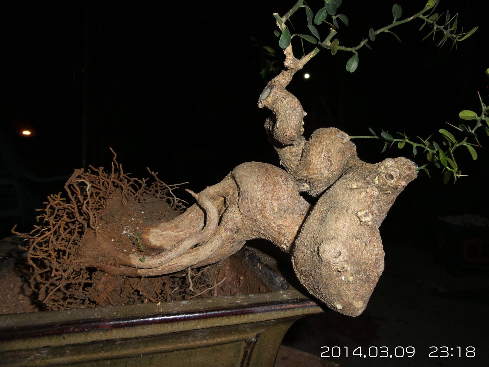 20140309_231842.jpg