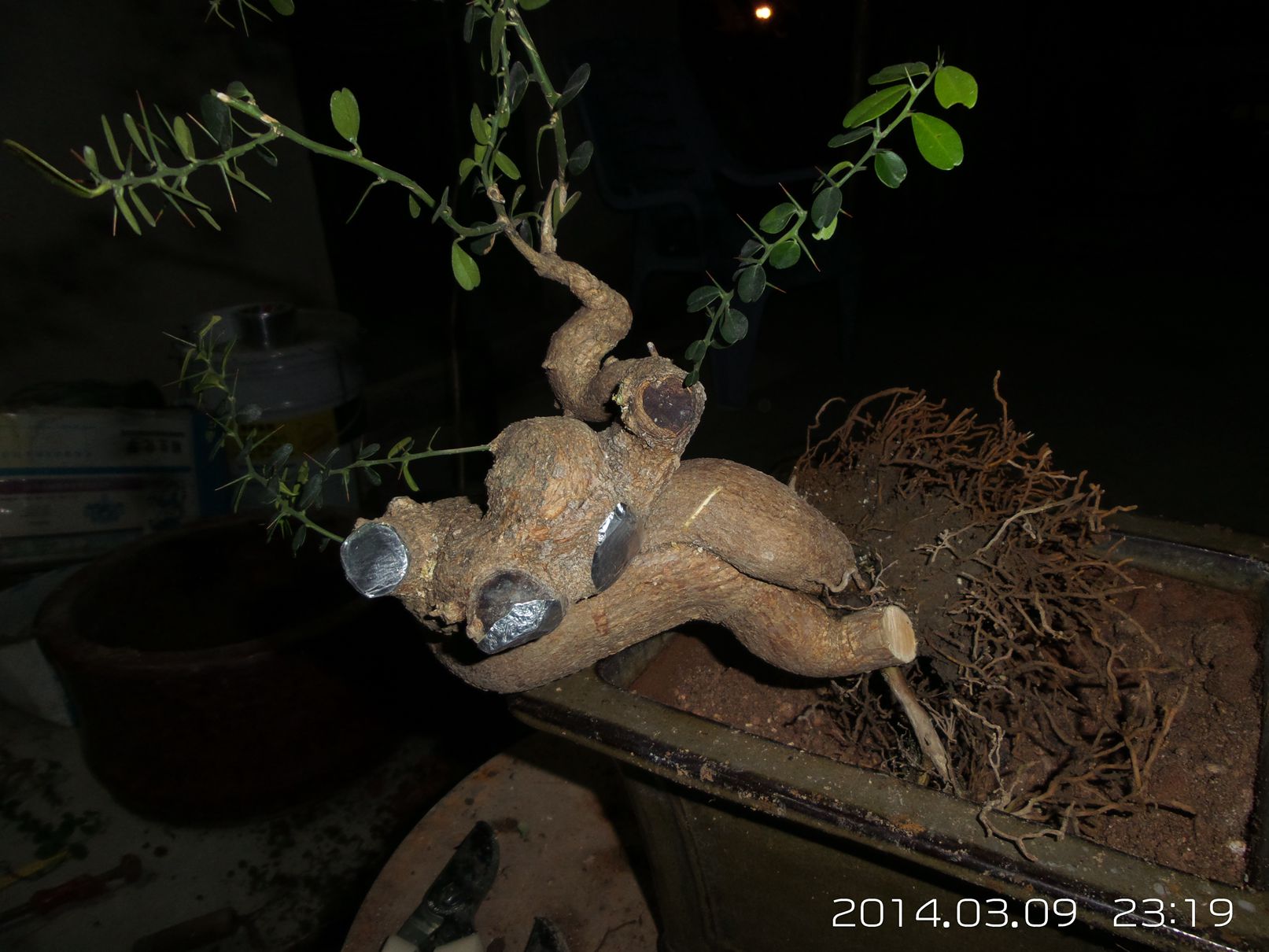 20140309_231908.jpg