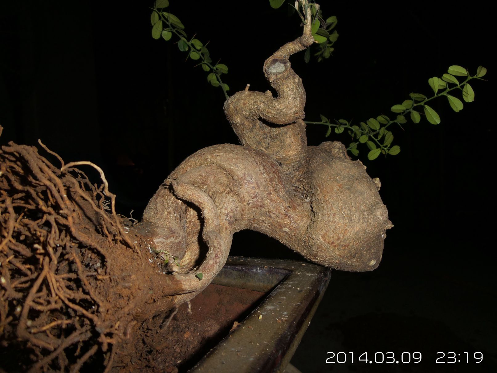 20140309_231925.jpg